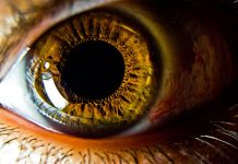 Que es la alta definición, 2k, 4k, 6k y hasta la 16k.