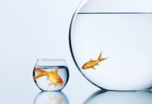 Lo Importante de tener una web para la pequeña y mediana Empresa