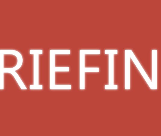 Briefing de Empresa